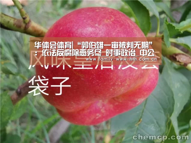 华体会体育