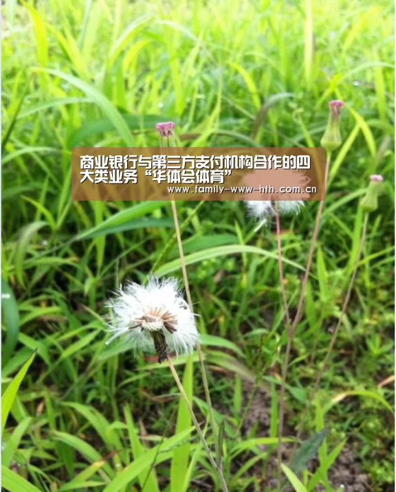 华体会体育