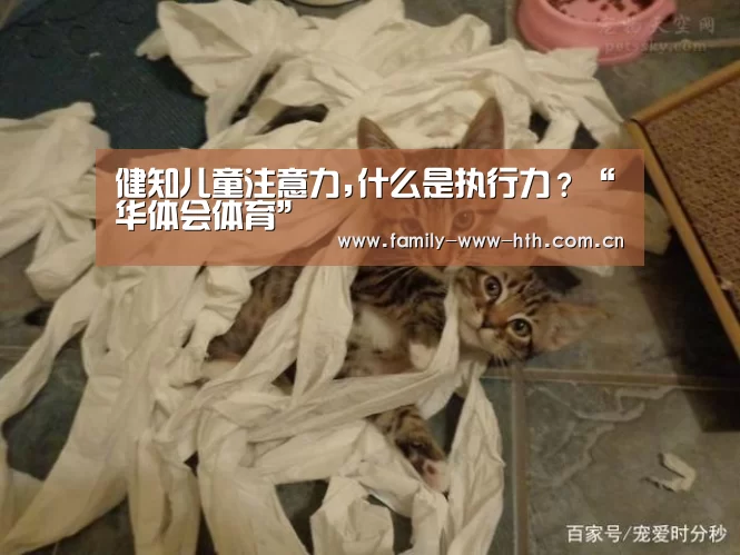 华体会体育