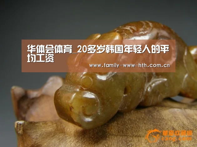 华体会体育
