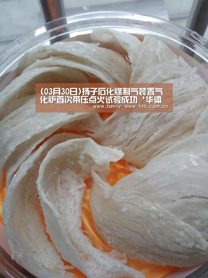 (03月30日)扬子石化煤制气装置气化炉首次带压点火试验成功‘华体会体育’(图1) 华体会体育
