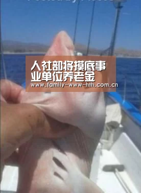 华体会体育