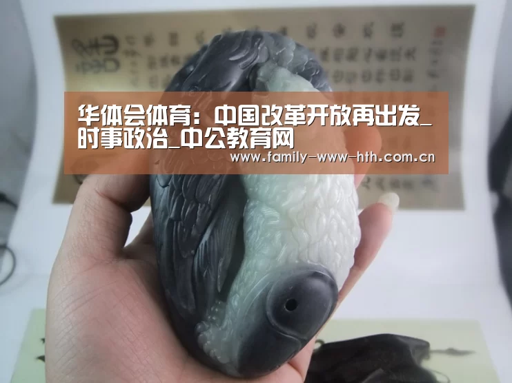 华体会体育